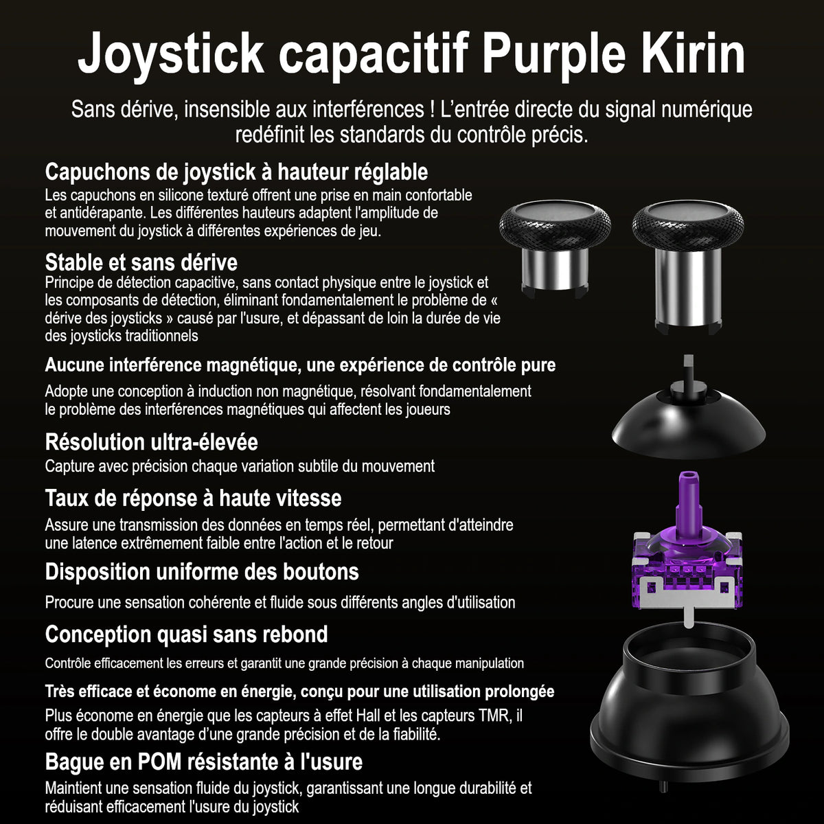 RG G01 — Joystick capacitif Purple Kirin.