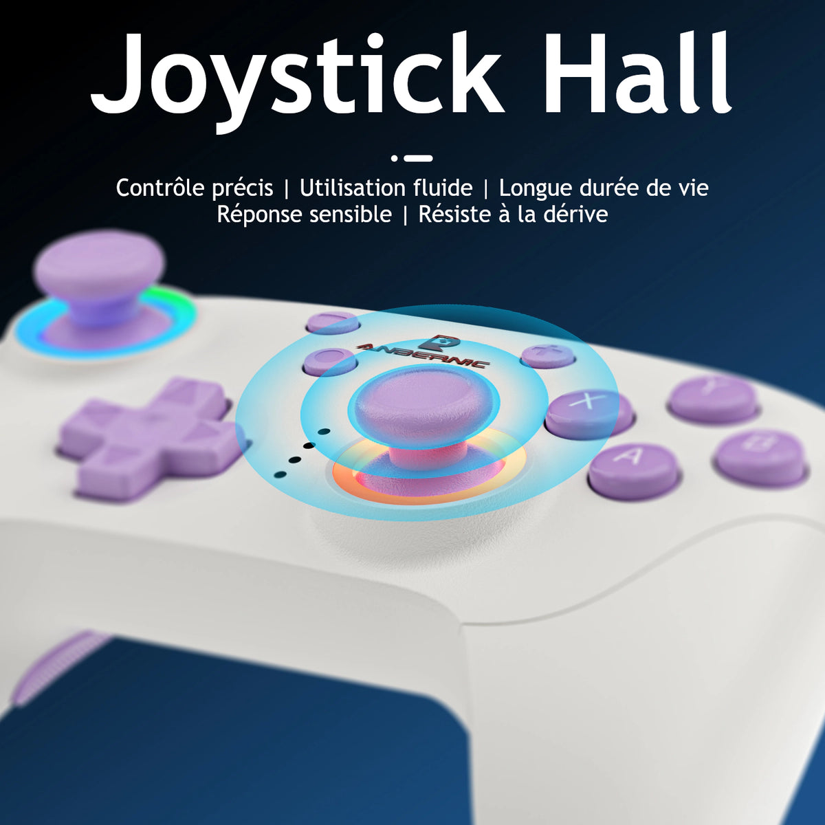 RG P01 — Joystick Hall.
