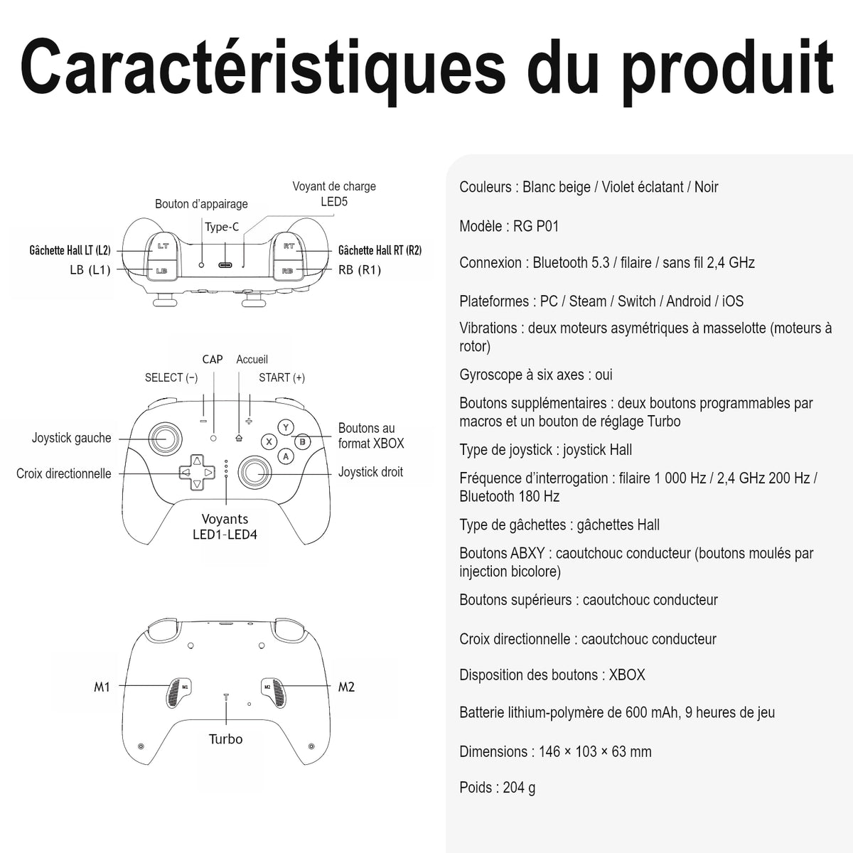 RG P01 — Schéma des commandes et caractéristiques techniques.